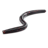 Leurre Souple Vers JXC05 14cm Par 10pcs